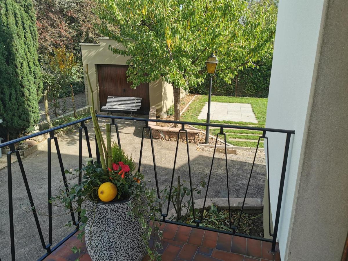 La Maison De Lucie - Grande Maison Ideale En Famille Ou Entre Amis - Jardin - Parking Gratuit Selestat Exterior photo